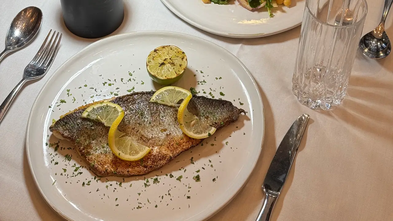 Branzino and Kale Salad - Shiraz Kitchen & Wine Bar - Chelsea, New York, NY