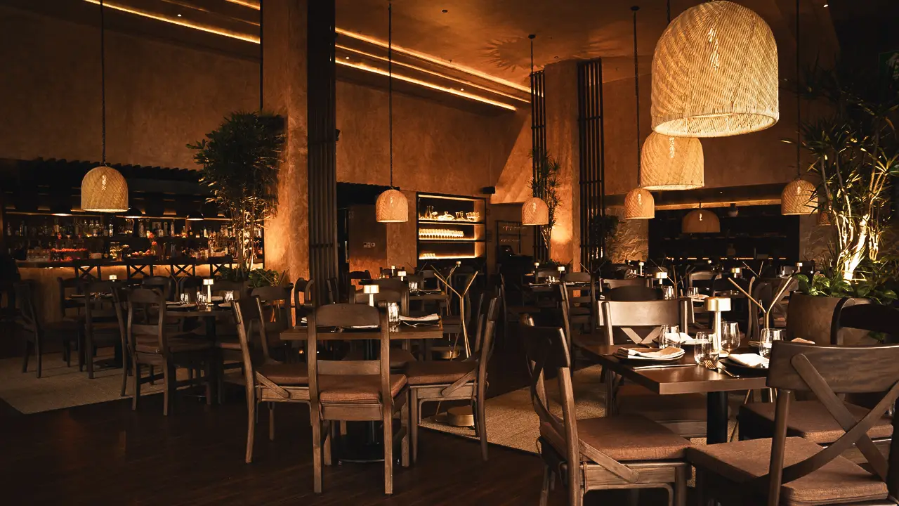 Mestiza Polanco - Espacios - Mestiza Polanco, Ciudad de México, CDMX