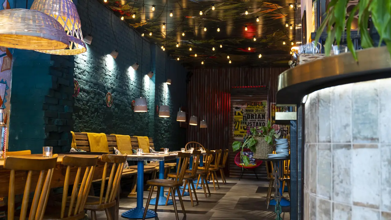 BURRO UNCHAINED, Berlin, BE