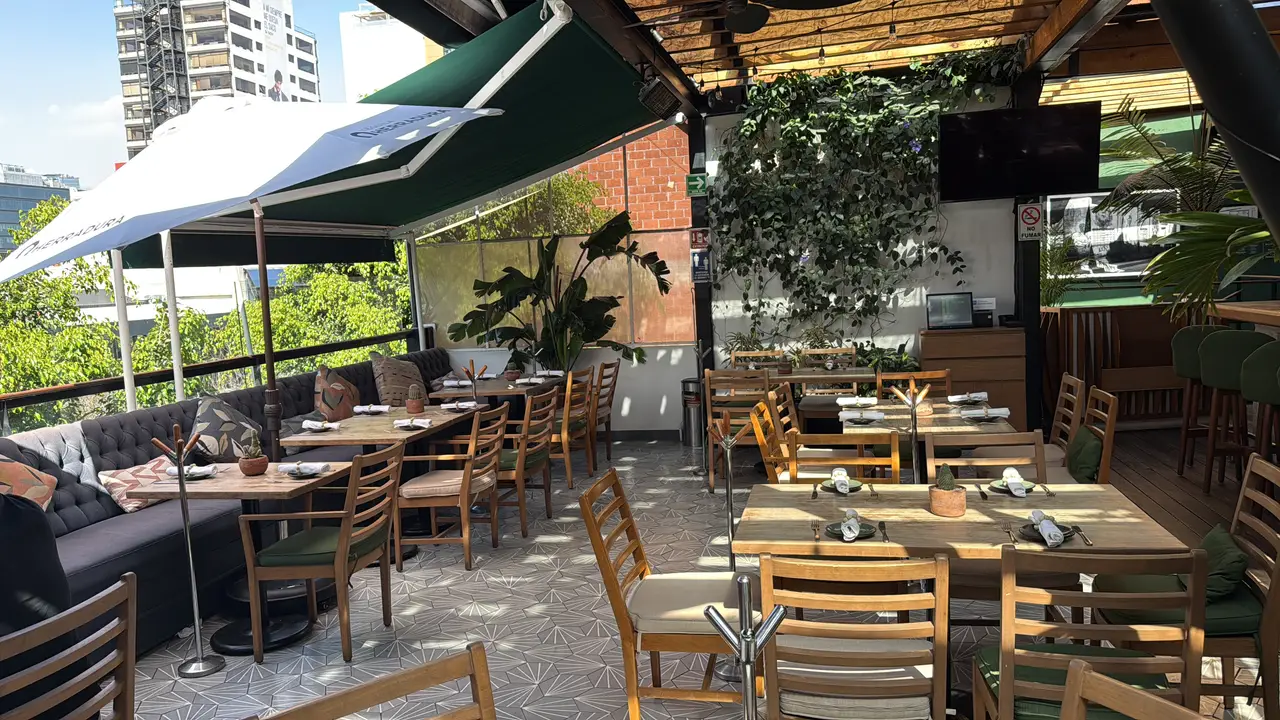 Palmares, Ciudad de México, CDMX