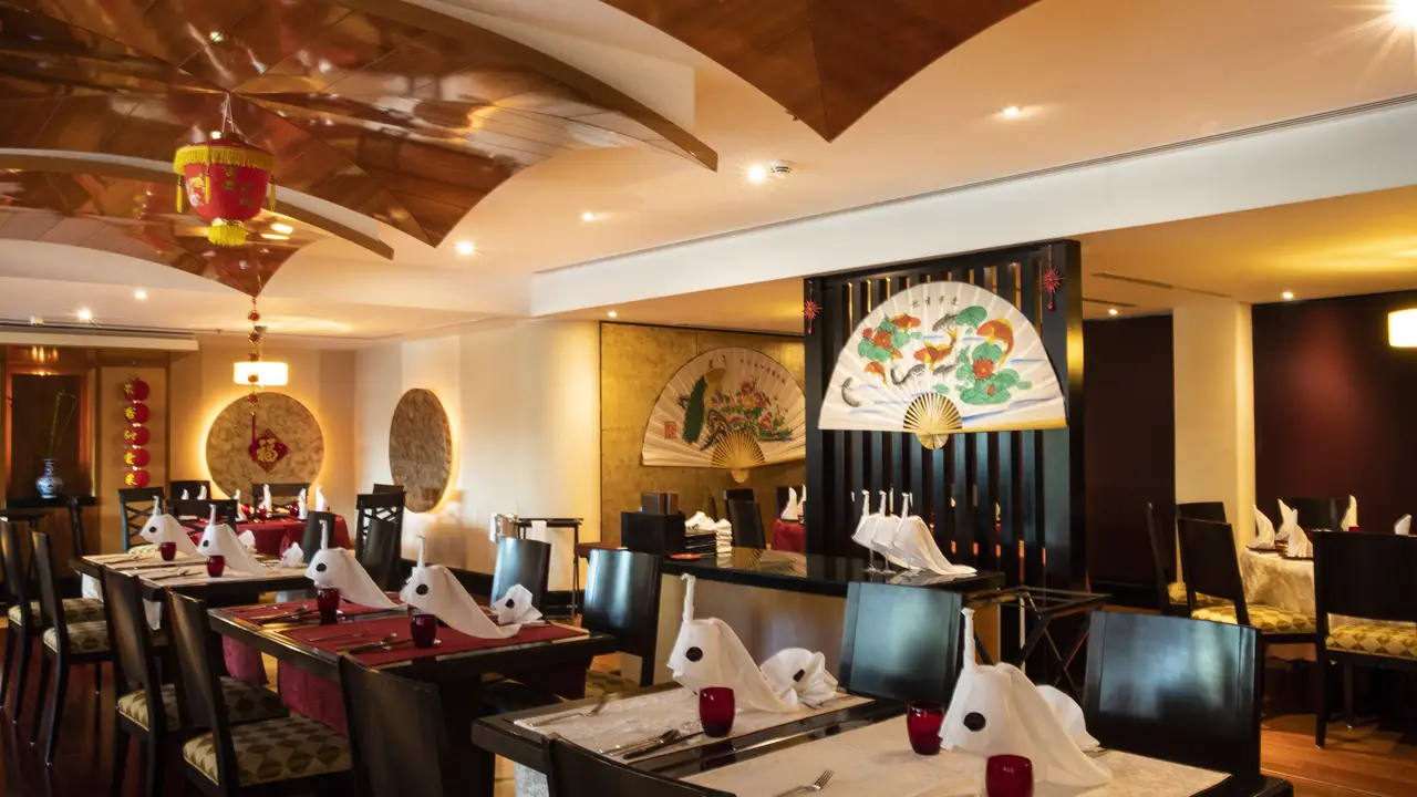 The Peacock Restaurant - The Peacock Chinese Restaurant - Sheraton Jumeirah Beach Resort, Dubai, Dubai