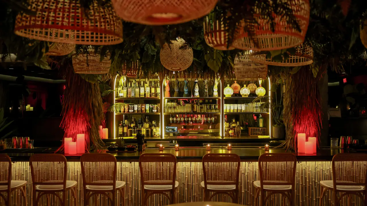 Hidden Bar, Nashville, TN