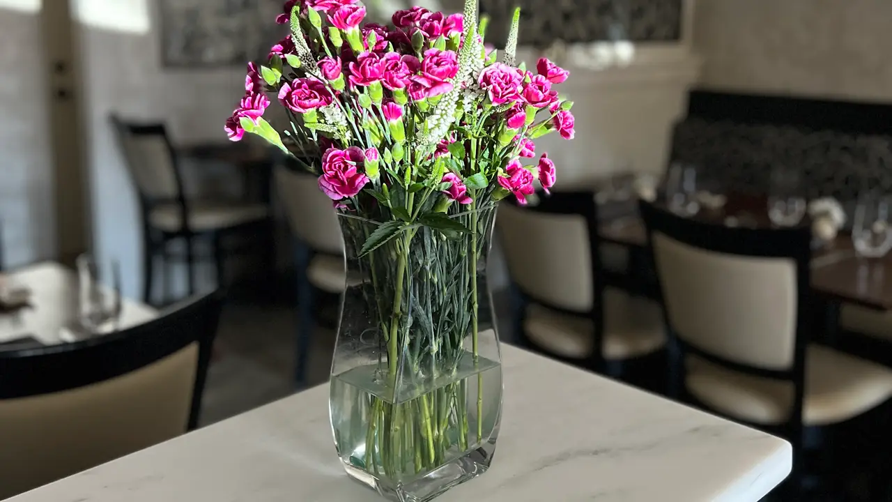 Join us in our cozy dining room. - Foglia, Bristol, RI