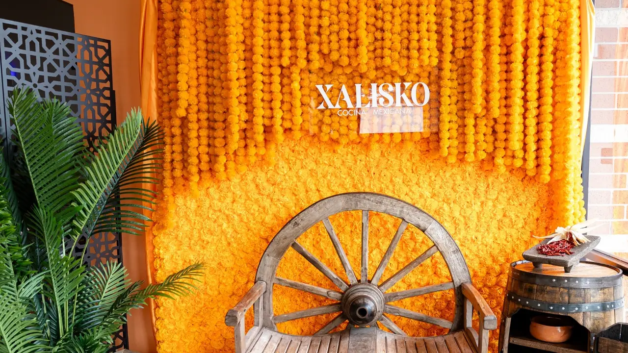 Xalisko Cocina Mexicana, Spring, TX