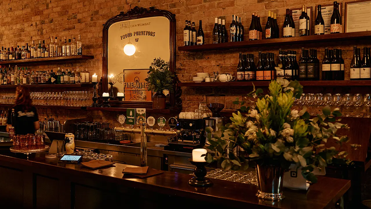 Bar - Lion and Wombat, St Kilda, AU-VIC