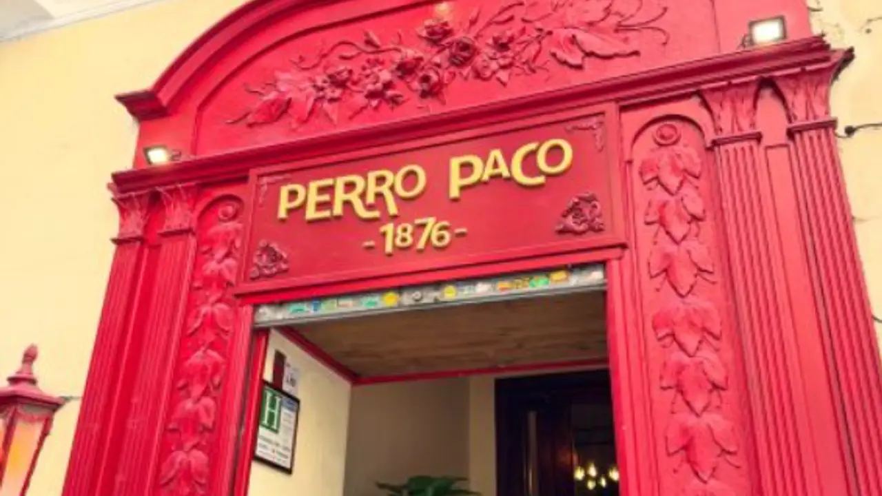 PERRO PACO, Madrid, Madrid