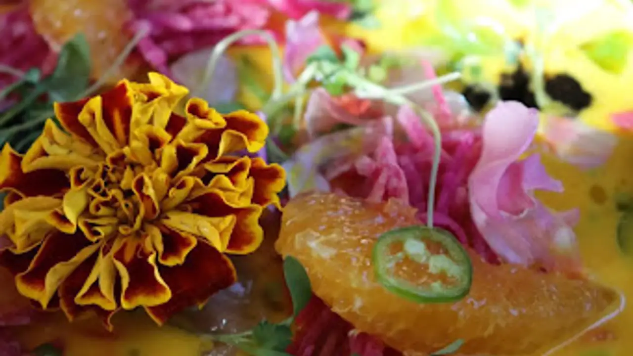 SumoMaya Mexican-Asian Kitchen, Scottsdale, AZ