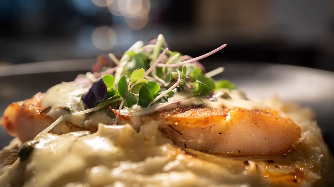 Wild caught Pan Roasted Salmon w/ mashed potatoes  - 595 Lounge & Grill, Plantation, FL