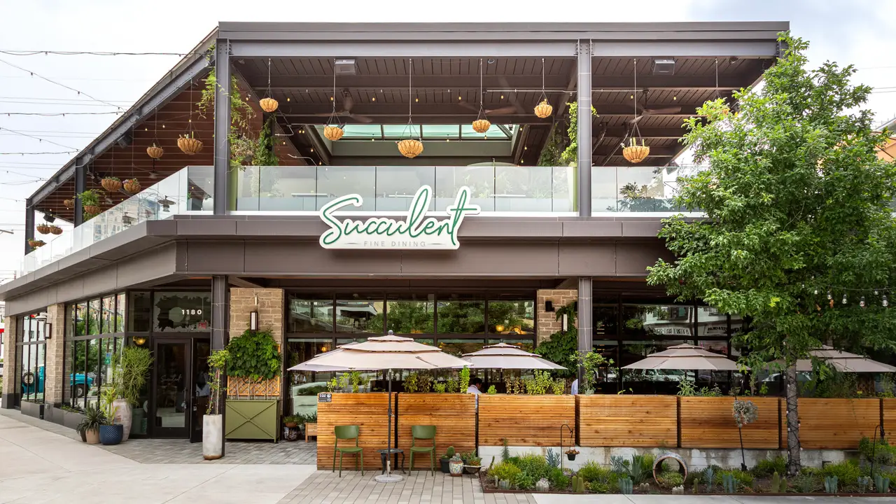 Succulent fine dining restaurant houston tx opentable