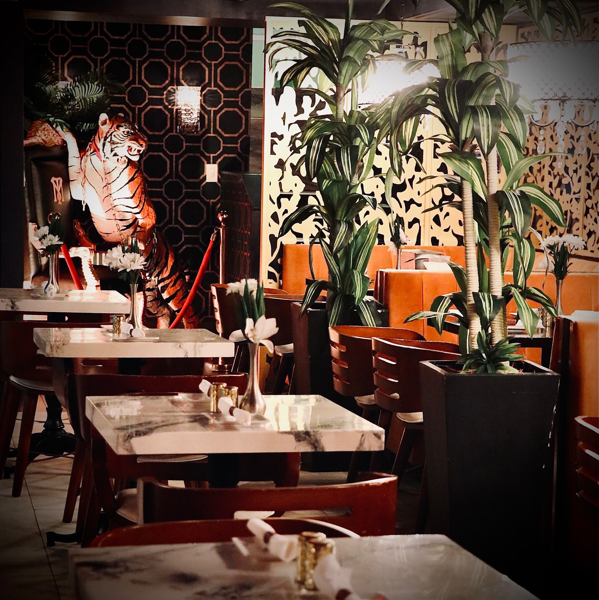 Montana's Miami Beach interior