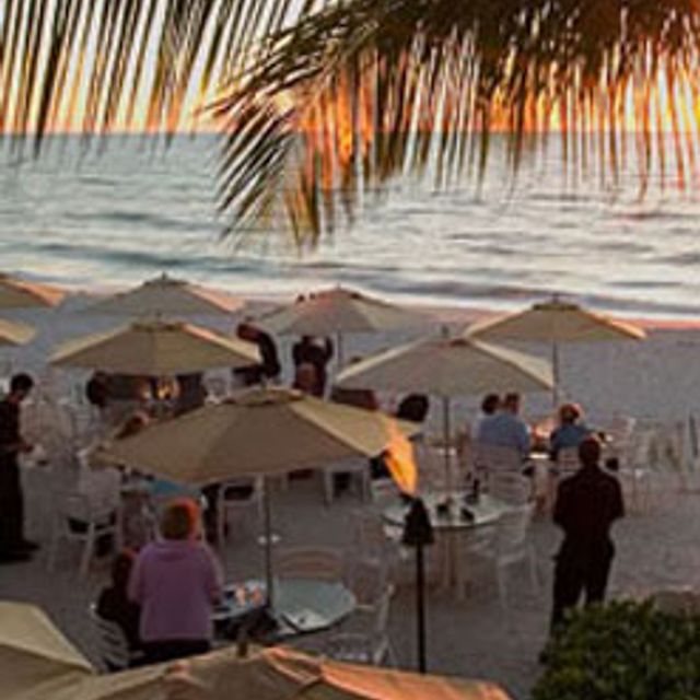 turtle club naples fl dress code Reviews - Turtle Club Fresh Fish Sandwich from Turtle Club Restaurant