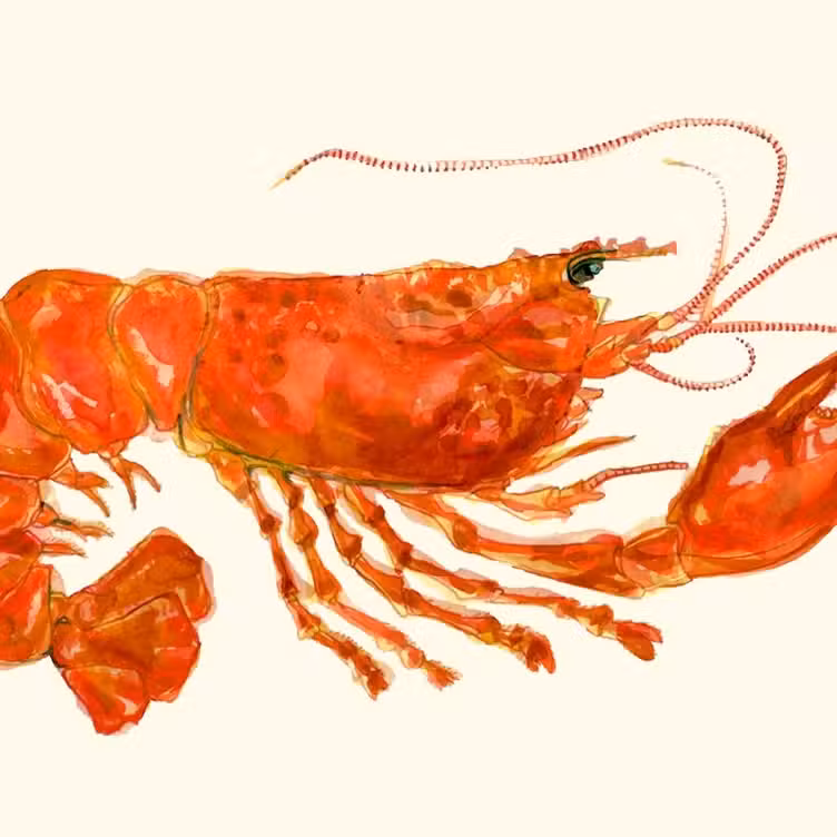 Interior - Lobster Bar, London, 
