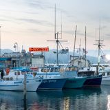 Cover image for Scoma's Fisherman's Wharf