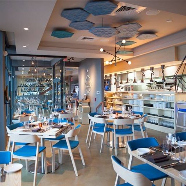 TIQA Restaurant - Portland, ME | OpenTable
