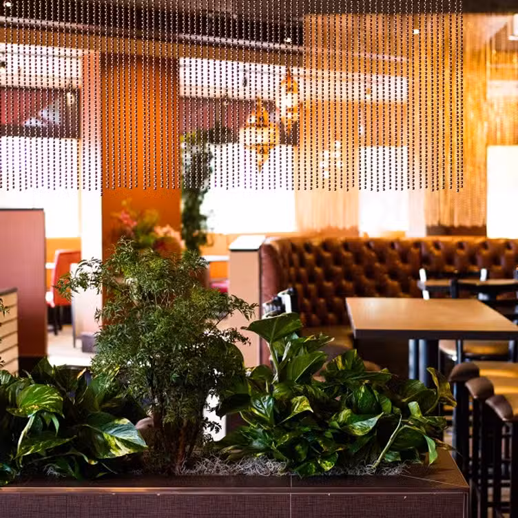 Inde Fusion - Permanently Closed, Scottsdale, AZ