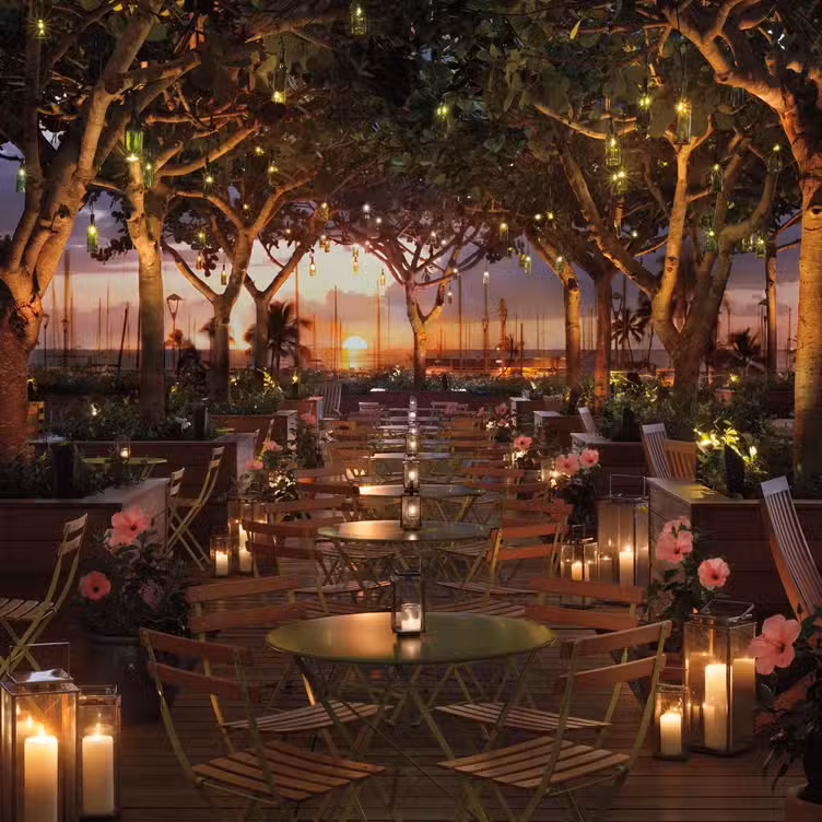 Buitenkant - The Grove at The Modern Honolulu, Honolulu, HI
