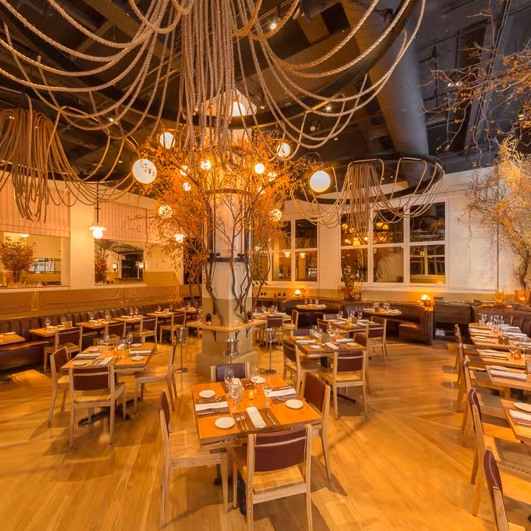 Interior - Park Avenue Winter, New York, NY