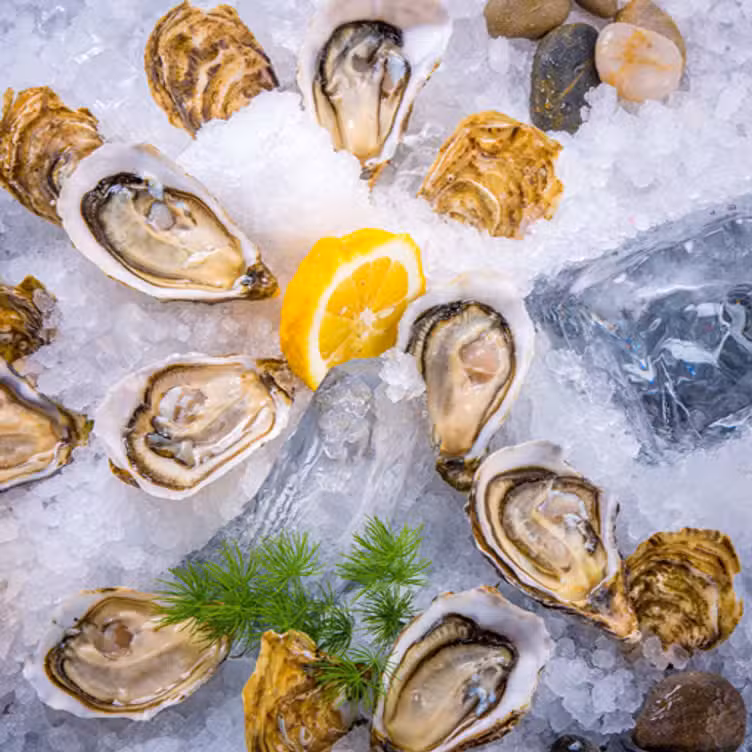 Fresh-oysters-seafood-room - Seafood Room Hong Kong, Hong Kong, Hong Kong