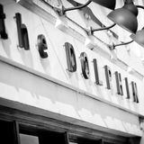 Cover image for The Dolphin