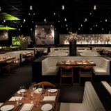 Cover image for STK - Denver