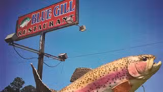 Una foto del restaurante The BLUEGILL Restaurant