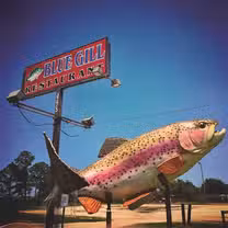 A photo of The BLUEGILL Restaurant restaurant