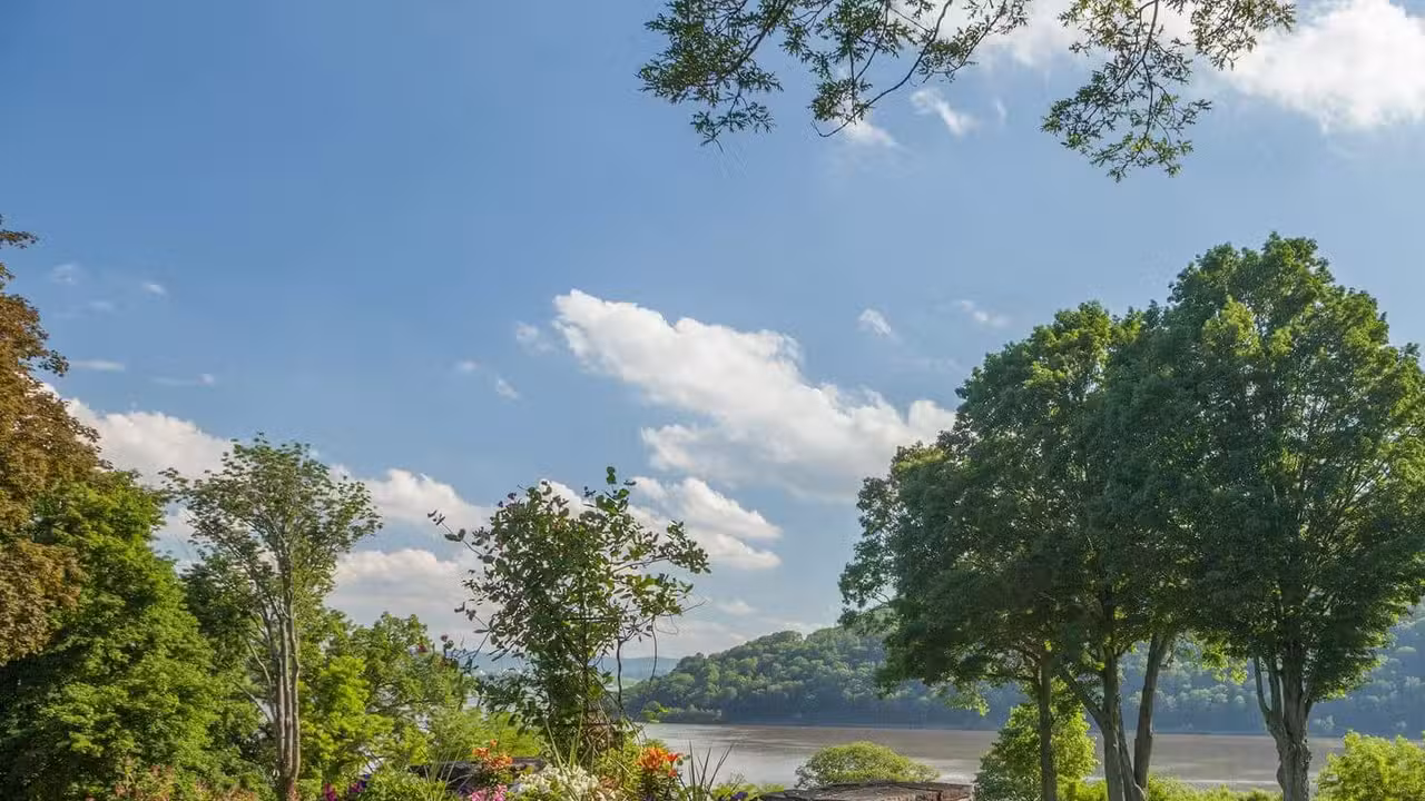 Elephant Tree Pop-Up at Monteverde, Cortlandt Manor, NY