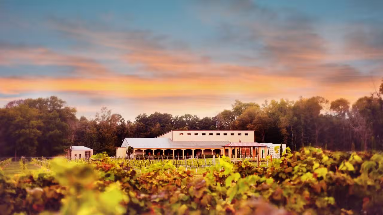 Los Pinos Ranch Vineyards, Pittsburg, TX