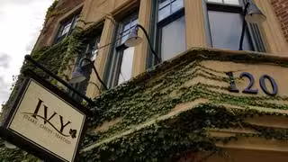 Una foto del restaurante IVY