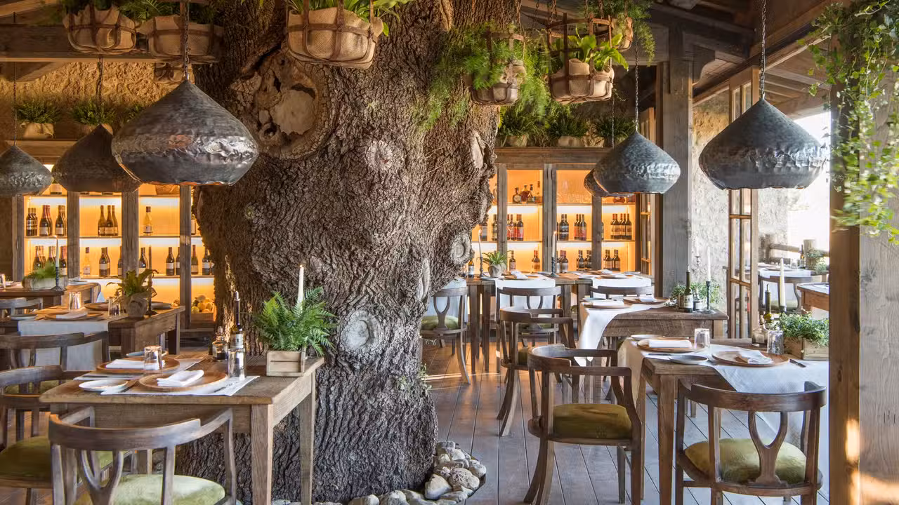 Trattoria sull'Albero, Chiusdino, SI