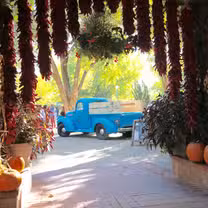 A photo of El Pinto restaurant