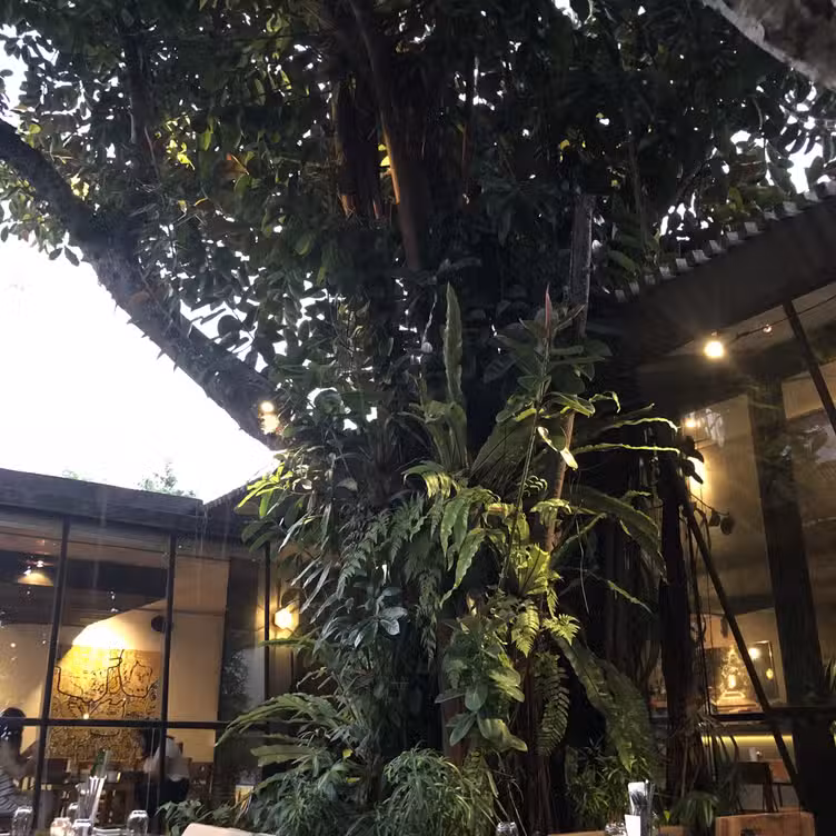 Exterior - Kilo Bali, Denpasar, Bali