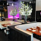 Cover image for STK - San Diego