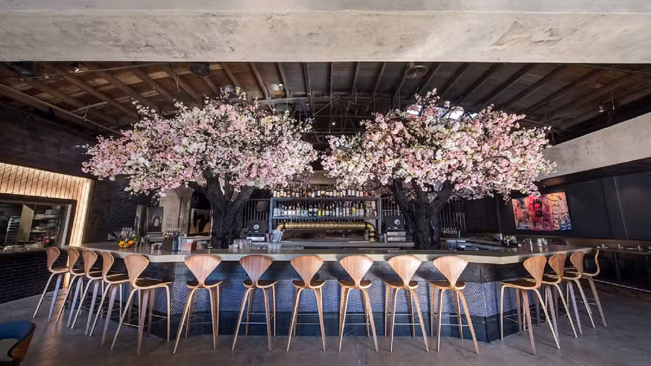 Interior - Cloak + Petal, San Diego, CA