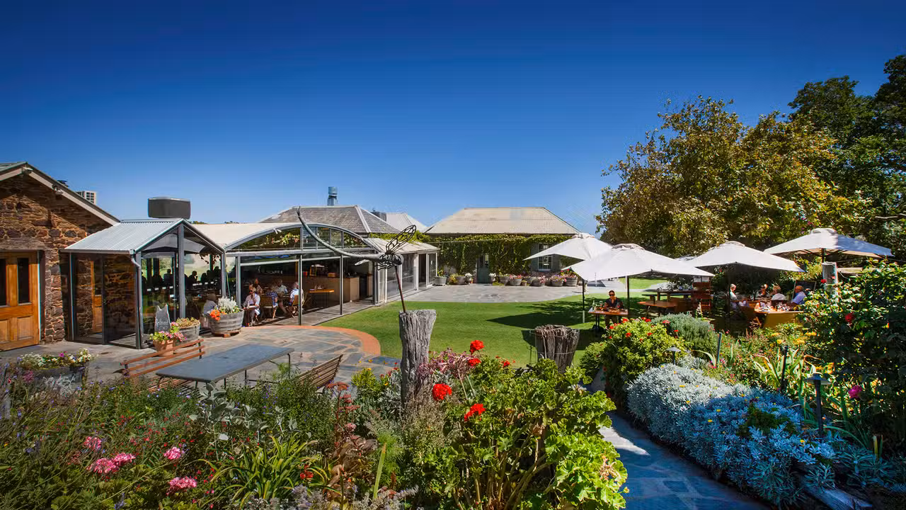 Coriole Vineyards Restaurant, McLaren Vale, AU-SA