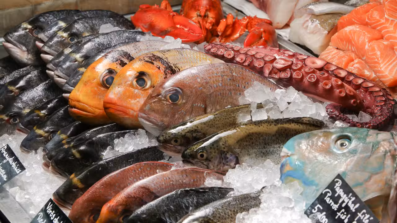 Interior - The Bigfish Seafood Bistro, Budapest, Pest