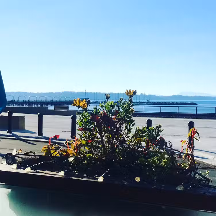 Buitenkant - Jan's On The Beach, White Rock, BC