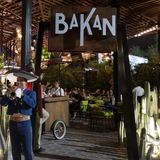 Cover image for Bakan