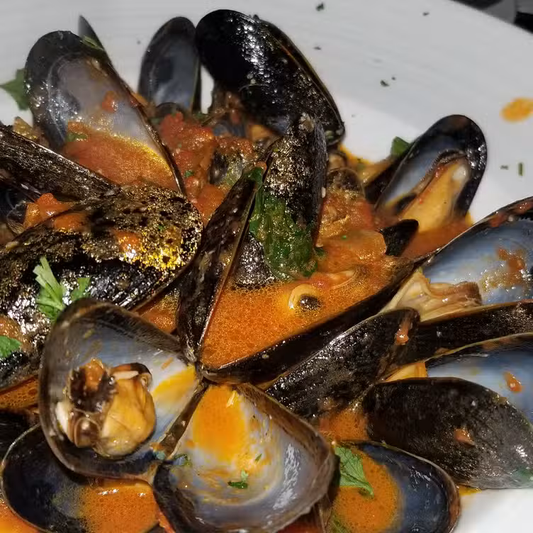 Food - Anthony's Ristorante, Drexel Hill, PA