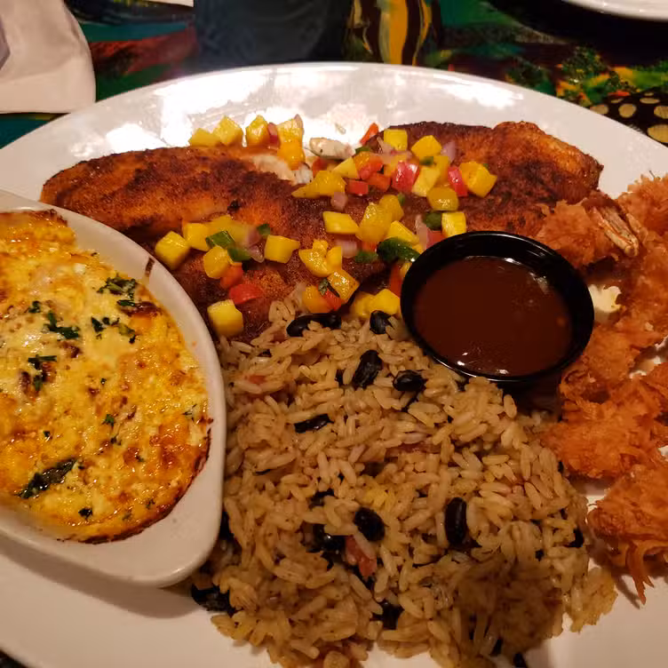 Eten - Rainforest Cafe - Chicago Woodfield, Schaumburg, IL