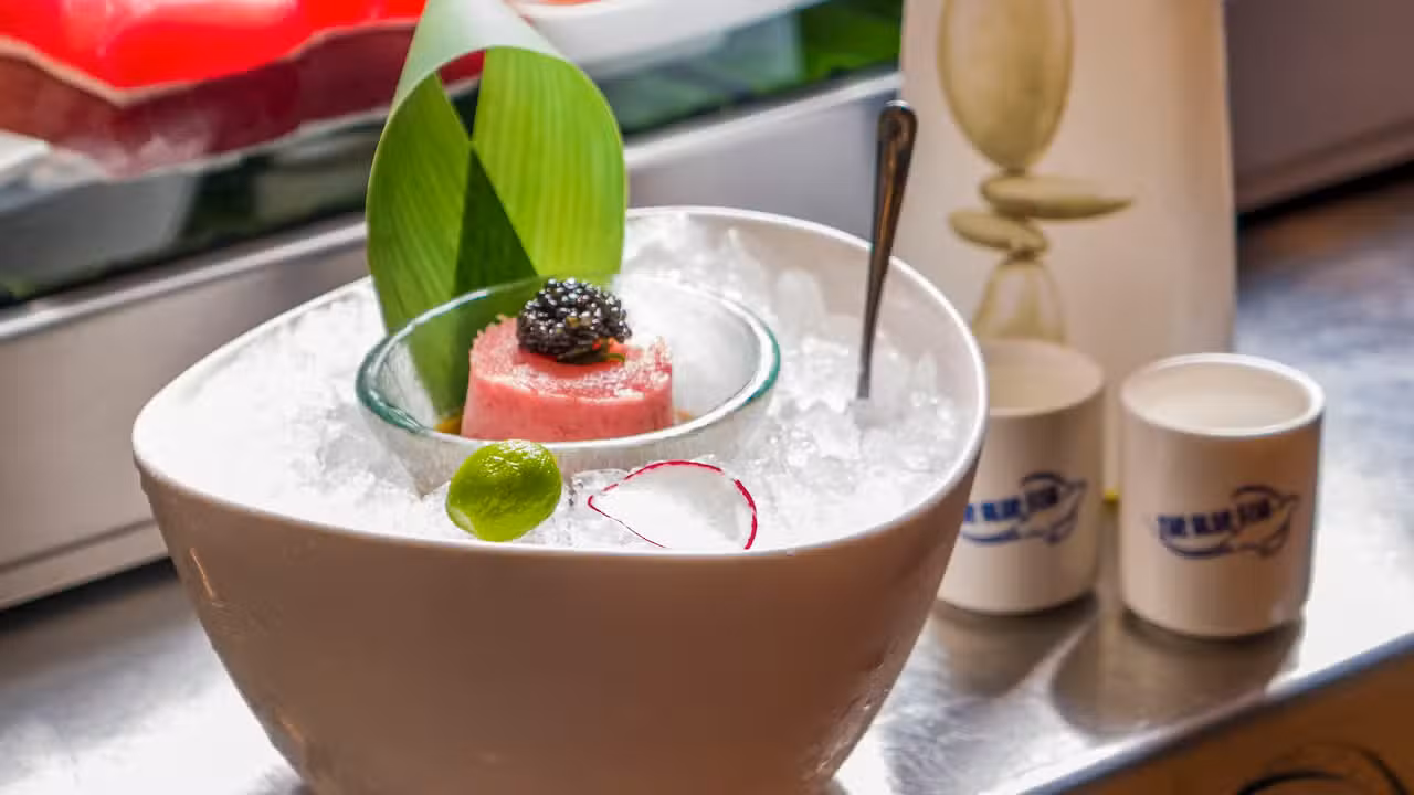 Drinks - The Blue Fish - The Woodlands, The Woodlands, TX
