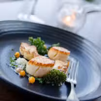 A photo of The Fig Tree Restaurant- Hurstpierpoint restaurant