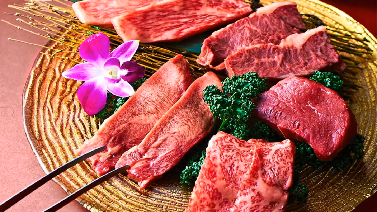 Toraji Nishi Shinjyuku Ikebukuro Nishiguchi トラジ 新宿 池袋 西口gw盛 - 焼肉トラジ新宿西口店 13 Tokyo