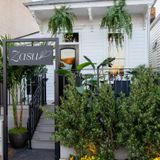Cover image for Zasu