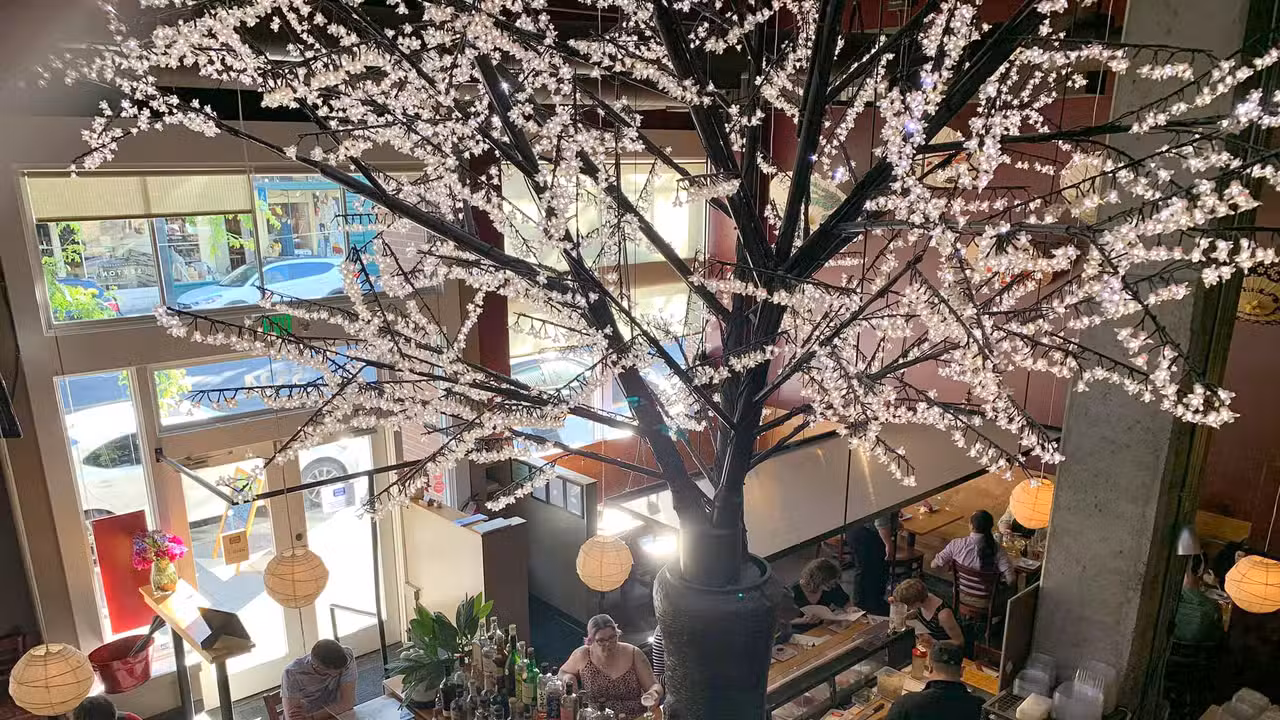 Moshi Moshi Sushi WA Seattle