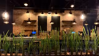 Foto von 317 Main Street Restaurant