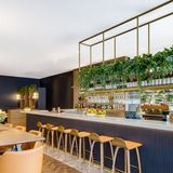 Cover image for Storehouse Sydney Central