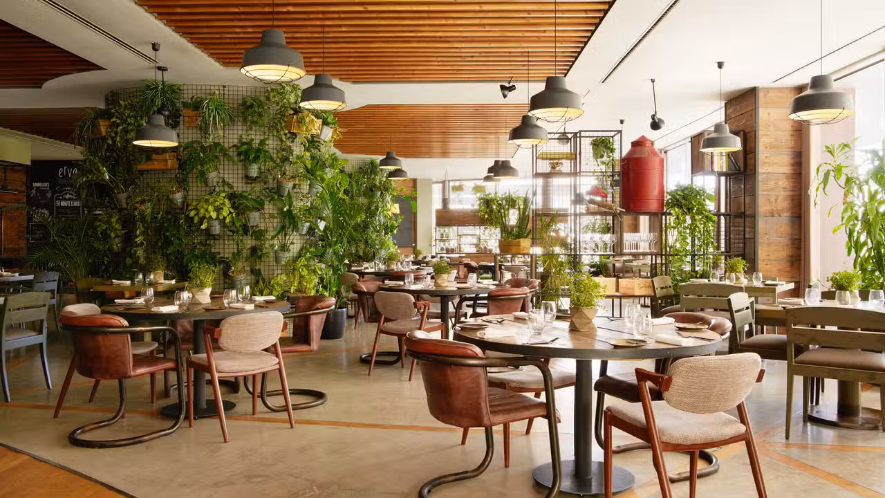 Erva Restaurante & Bar, Lisbon, Lisbon