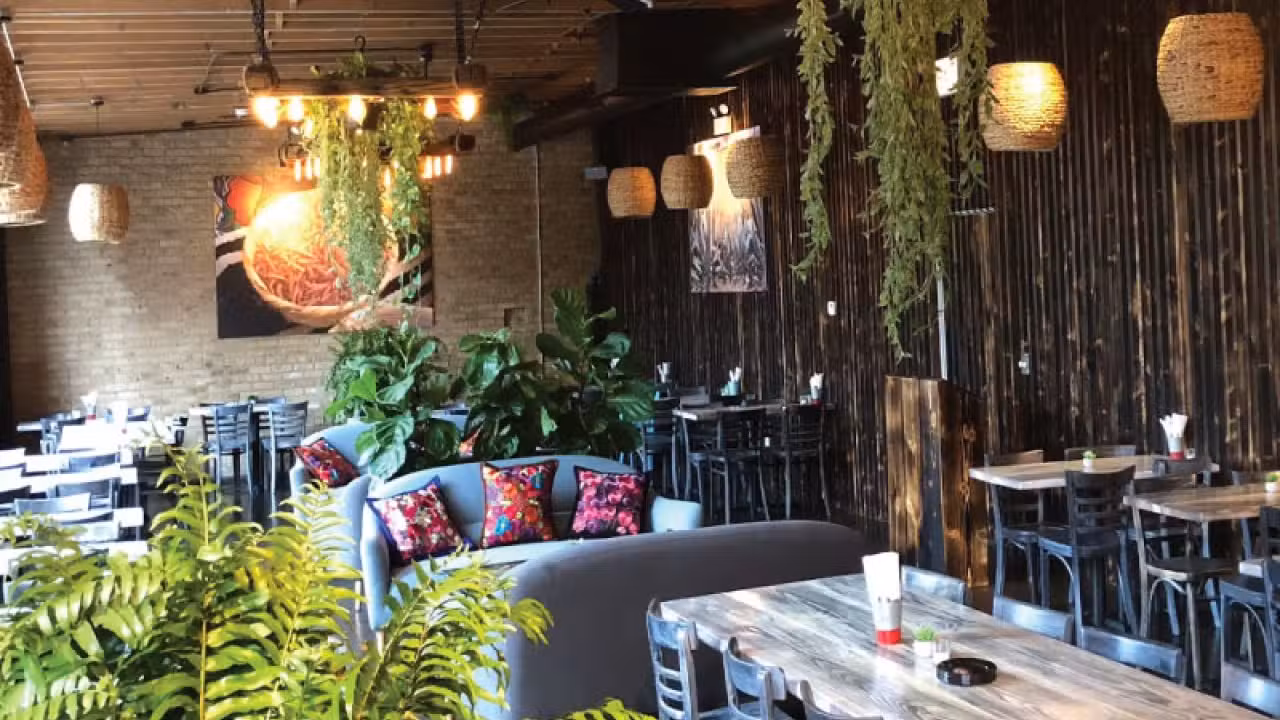 Rojo Gusano - Ravenswood, Chicago, IL