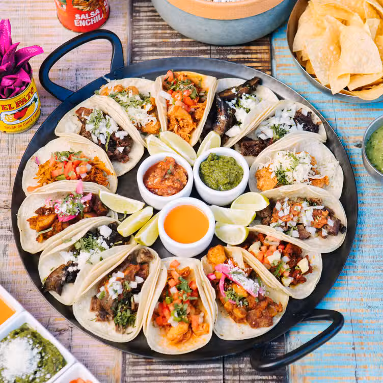Wild Salsa - Fort Worth, Fort Worth, TX